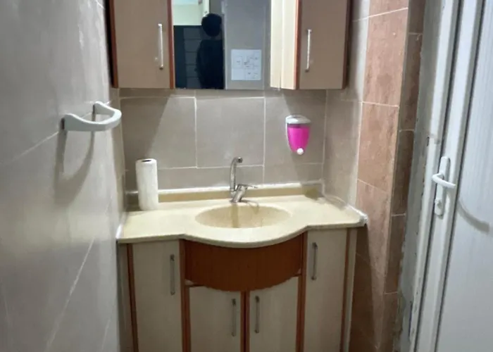 Alida باموكاليه