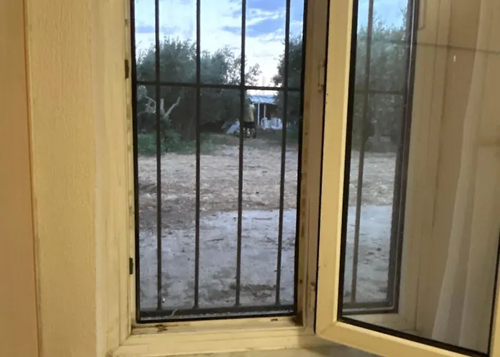 Alida باموكاليه