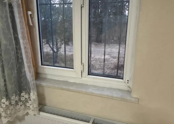 Alida * باموكاليه