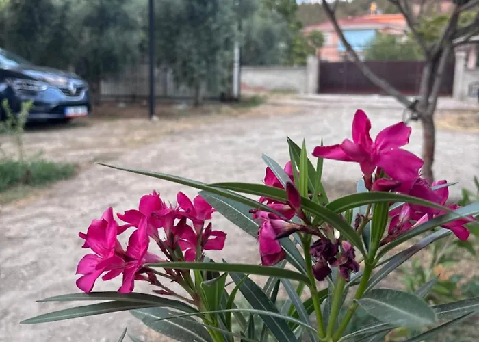 Alida Apartamento *