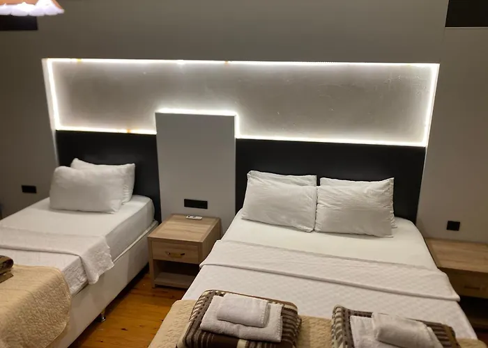 Alida باموكاليه