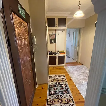 Alida * パムッカレ