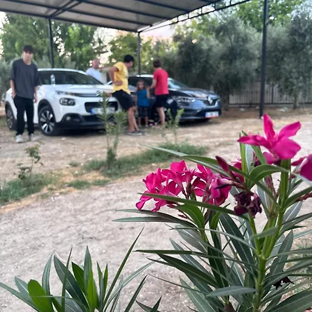 Alida Pamukkale