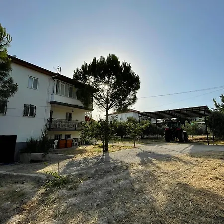 Apartment Alida *