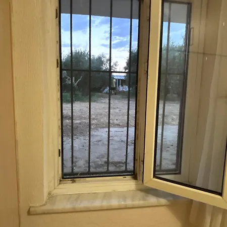 Alida パムッカレ