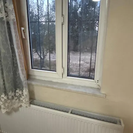 Alida * パムッカレ