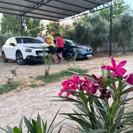 Διαμέρισμα Alida *