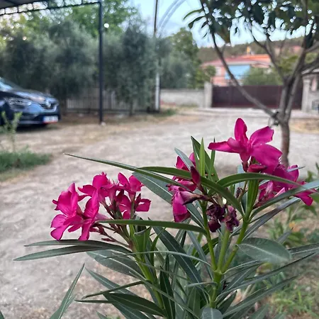 Alida Διαμέρισμα *