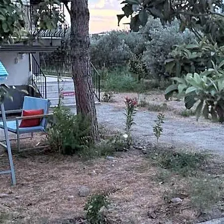 Alida * פמוקלה