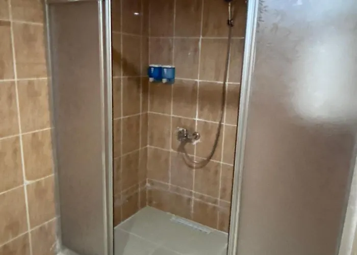 Alida * 帕莫卡莱