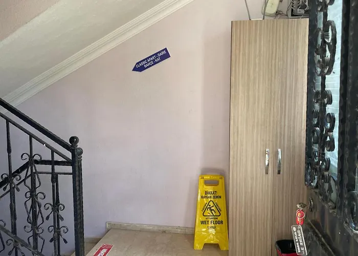 Alida * פמוקלה